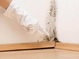 Mold Remediation for Rental Properties in Pleasant Hill, PA